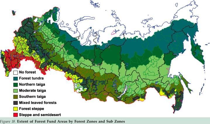 Русский лес на карте