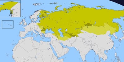 Карта Российской империи
