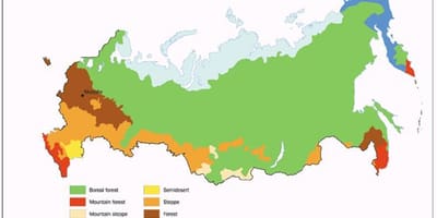 Тундра России карта