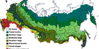 Русский лес на карте